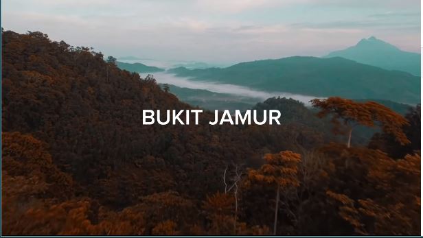 Wisata Alam Kalimantan